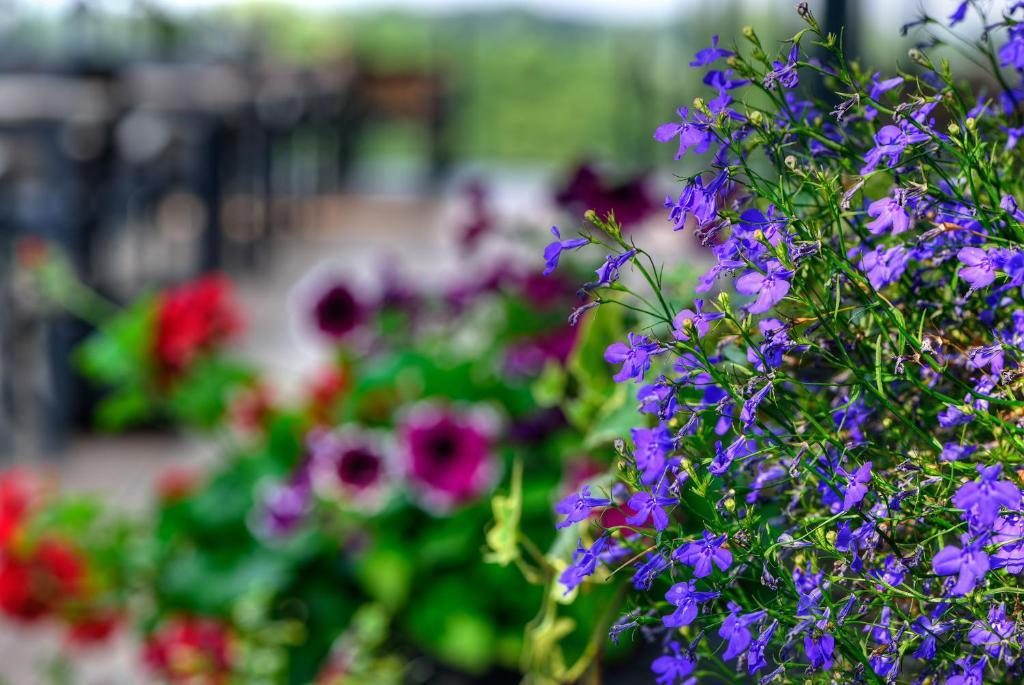 Arthotel Kiebitzberg ฮาเวลแบร์ก ภายนอก รูปภาพ