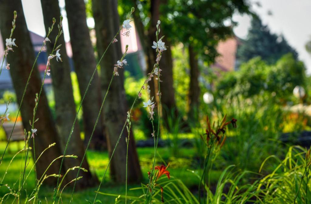Arthotel Kiebitzberg ฮาเวลแบร์ก ภายนอก รูปภาพ